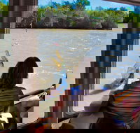 Jumping Crocs  Nature Adventure Cruise from Darwin - Find Attractions