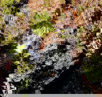 Ethical Adventures - Pure Litchfield - Find Attractions