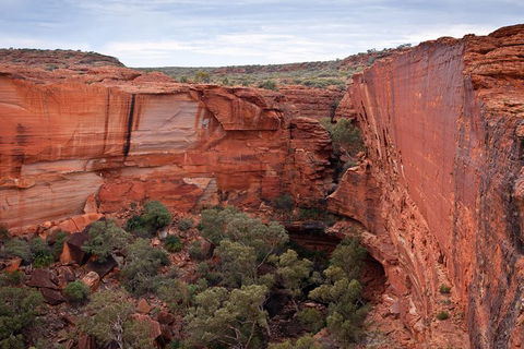 Uluru, Kata Tjuta And Kings Canyon Camping Safari From Alice Springs - Find Attractions 4