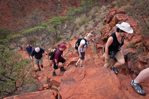 Uluru, Kata Tjuta And Kings Canyon Camping Safari From Alice Springs - Find Attractions 3