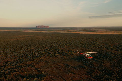 Helicopter Scenic: Lizard Safari - Find Attractions 4