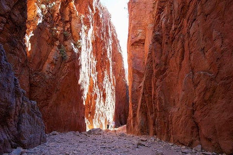 Best Of Alice Springs Full Day Tour - Find Attractions 6