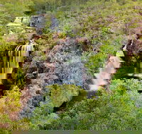 Full-Day Private Guided Tour to Litchfield National Park - Find Attractions