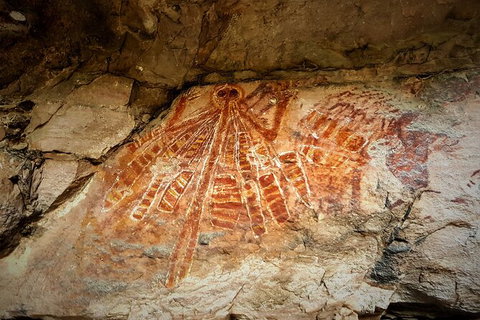 Arnhem Land Injalak Hill Full-Day Tour From Darwin - Find Attractions 1