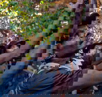 Arnhem Land Injalak Hill Full-Day Tour from Darwin - Find Attractions