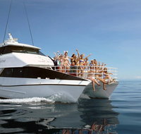 Seastar Luxury Outer Great Barrier Reef Island and Reef Tour from Cairns - Find Attractions
