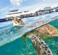 Outer Reef Pontoon Experience from Cairns - Find Attractions