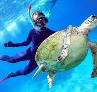 Great Barrier Reef Day Cruise from Cairns Including Snorkeling and Marine Biologist Presentation - Find Attractions