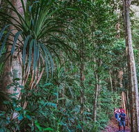 Atherton Tablelands Rain Forest by Night from Cairns - Find Attractions