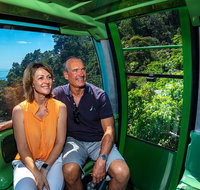 Skyrail Rainforest Cableway Day Trip from Cairns - Find Attractions