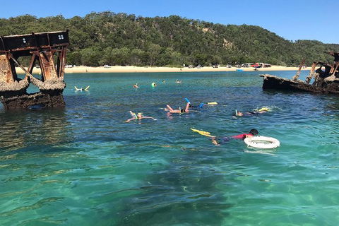 All Inclusive Dolphin And Tangalooma Wrecks Cruise - Find Attractions 9