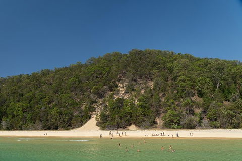 All Inclusive Dolphin And Tangalooma Wrecks Cruise - Find Attractions 4