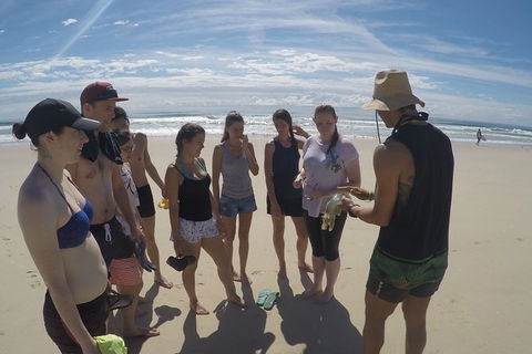 Half Day Dolphin Kayaking And Snorkeling Tour - Find Attractions 6
