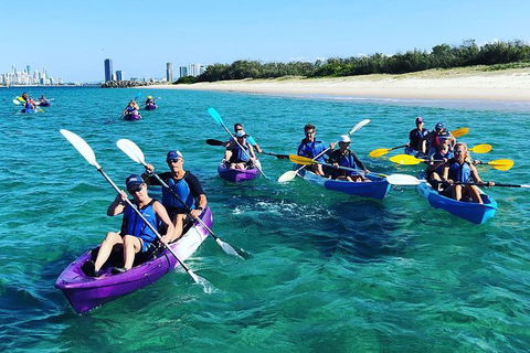 Half Day Dolphin Kayaking And Snorkeling Tour - Find Attractions 11