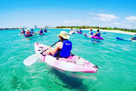 Half Day Dolphin Kayaking And Snorkeling Tour - Find Attractions 0