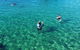 Half Day Dolphin Kayaking And Snorkeling Tour - thumb 12