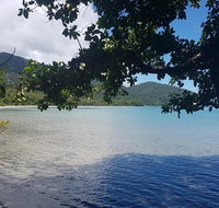 Full Day Tour in the Daintree - Find Attractions