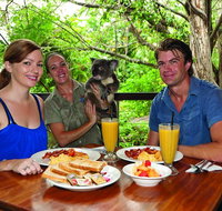 Breakfast with the Koalas at Hartley's Crocodile Park from Cairns or Palm Cove - Find Attractions