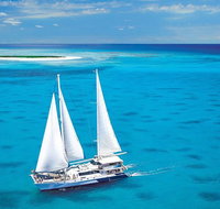 Ocean Spirit Michaelmas Cay Dive and Snorkel Cruise from Cairns - Find Attractions