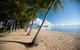Cairns City Sights And Surrounds Tour - thumb 3