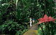 Cairns City Sights And Surrounds Tour - thumb 6