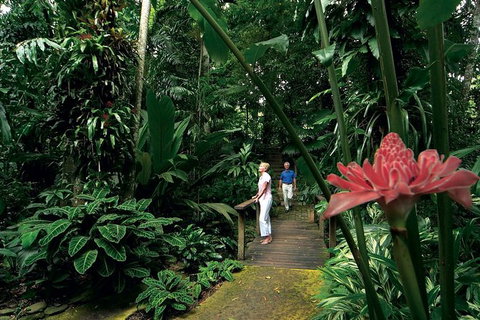 Cairns City Sights And Surrounds Tour - Find Attractions 6
