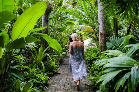 Cairns City Sights And Surrounds Tour - Find Attractions 7