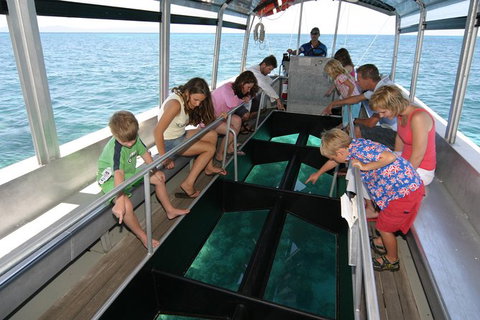 Cairns City Sights And Surrounds Tour - Find Attractions 2