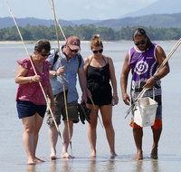 Aboriginal Cultural Daintree Rainforest Tour from Cairns or Port Douglas - Find Attractions