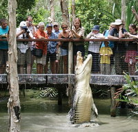 Hartley's Crocodile Adventure Half-Day Tour - Find Attractions