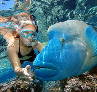 Cairns 2-Day Combo Great Barrier Reef Cruise and Kuranda - Find Attractions
