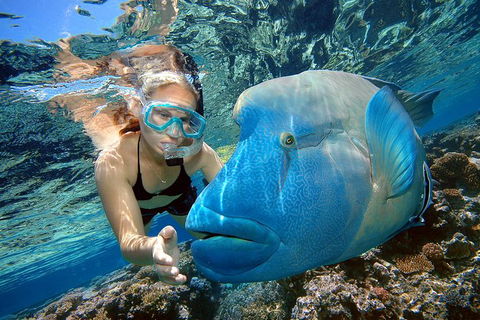 Cairns 2-Day Combo: Great Barrier Reef Cruise And Kuranda - Find Attractions 0