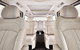 Luxury Van, Private Transfer, Cairns City - Cairns Airport - thumb 1