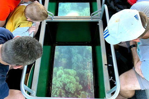 Airlie Beach Glass Bottom Boat Tour - Find Attractions 2
