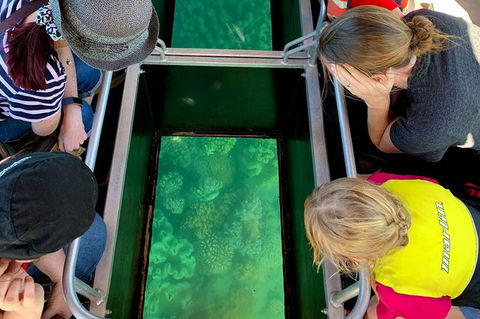 Airlie Beach Glass Bottom Boat Tour - Find Attractions 11
