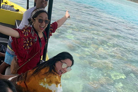 Airlie Beach Glass Bottom Boat Tour - Find Attractions 6