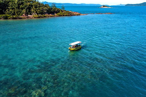 Airlie Beach Glass Bottom Boat Tour - Find Attractions 8