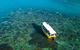 Airlie Beach Glass Bottom Boat Tour - thumb 9
