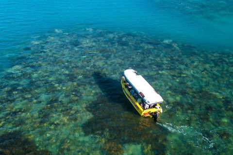 Airlie Beach Glass Bottom Boat Tour - Find Attractions 9
