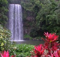 The Original Day Tour to Paronella Park Lake Barrine and Millaa Millaa Falls - Find Attractions