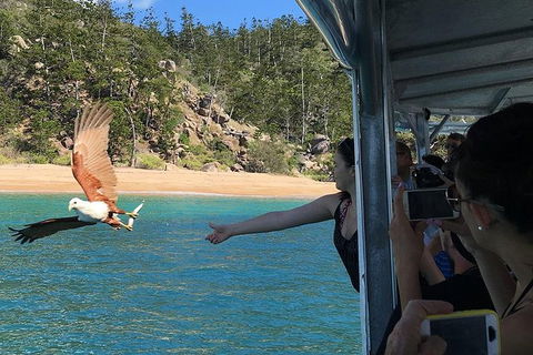 Aquascene Magnetic Island Discovery Tour - Find Attractions 2