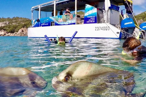 Aquascene Magnetic Island Discovery Tour - Find Attractions 4
