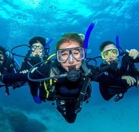 Great Barrier Reef Diving and Snorkeling Cruise from Cairns - Find Attractions