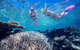 Cruise Out And Cruise Return, Plus 10 Minute Scenic Flight - thumb 4