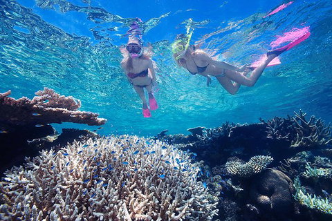 Cruise Out And Cruise Return, Plus 10 Minute Scenic Flight - Find Attractions 4