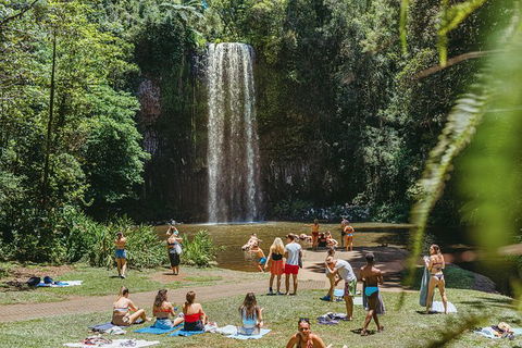 Atherton Tablelands Waterfalls And Rainforest Day Tour Departing Cairns - Find Attractions 4