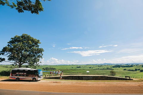 Atherton Tablelands Waterfalls And Rainforest Day Tour Departing Cairns - Find Attractions 9