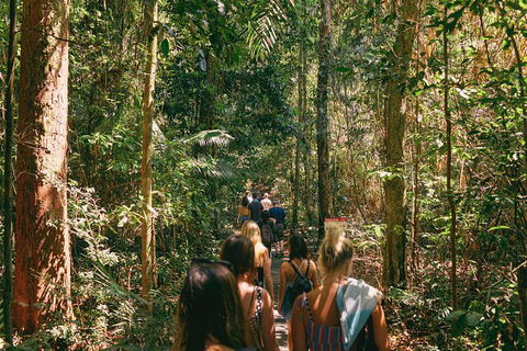 Atherton Tablelands Waterfalls And Rainforest Day Tour Departing Cairns - Find Attractions 10