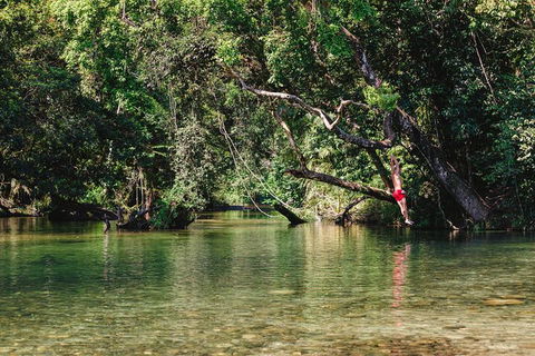 Atherton Tablelands Waterfalls And Rainforest Day Tour Departing Cairns - Find Attractions 3