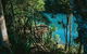 Atherton Tablelands Waterfalls And Rainforest Day Tour Departing Cairns - thumb 5